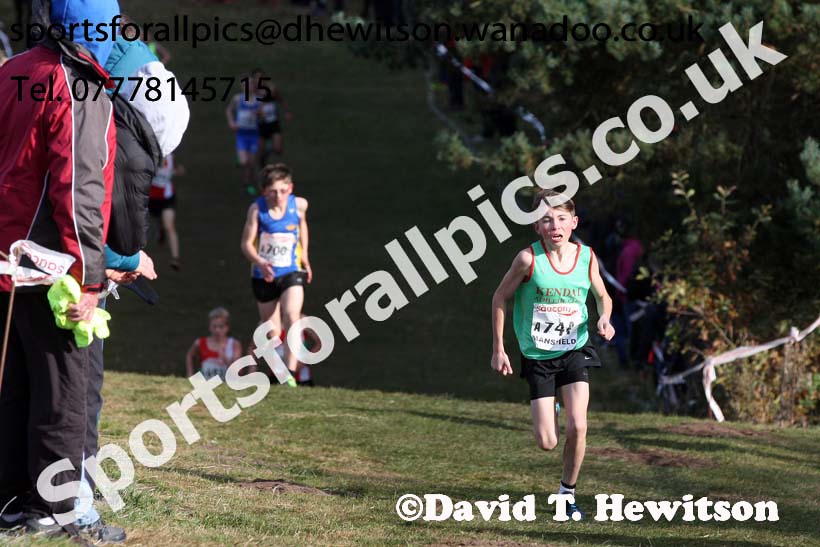 Boys under-13s, 2016 National Cross Country Relays, Berry Hill Park, Mansfield. Photo: David T. Hewitson/Sports for All Pics